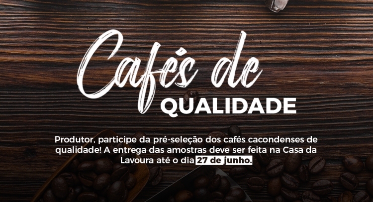 Capa da notícia